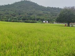 -风云岭森林公园