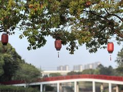 -美兰湖景区