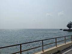 -红树林天天赶海