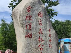 -合肥滨湖国家森林公园