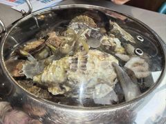 -大锅强·蒸海鲜青岛菜(吾悦广场店)