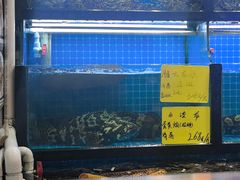 -醉壹号海鲜大排档(厦门美食地标店)