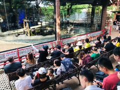 -清迈夜间动物园