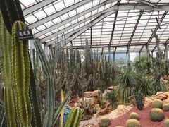 -南通洲际绿博园