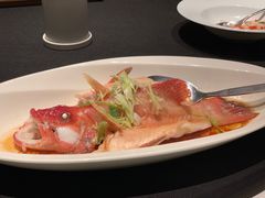 清蒸东星斑-逸道(虹桥店)