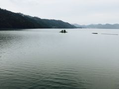 -千岛湖品鱼馆(钓鱼岛店)