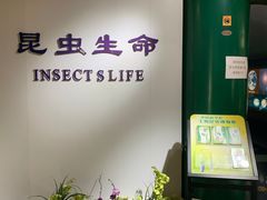 -上海昆虫博物馆