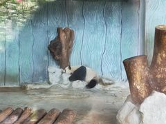 -海南热带野生动植物园