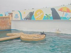 -秦皇岛乐岛海洋王国