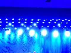 -南风大剧院莎梦二人转剧场