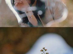 -昆山城市生态森林公园