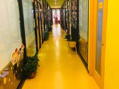 -杨梅红艺术教育(万象城校区)