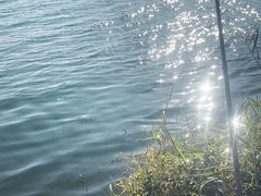 -鹤之洲湿地公园
