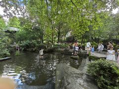 -成都市活水公园