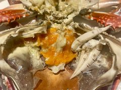 -开海·红岛海鲜虾水饺(石老人店)