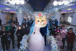 -甘井子区冠豪主题婚礼酒店宴会厅(机场店)