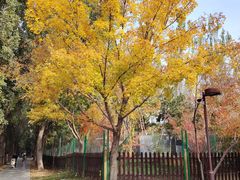 -回龙观体育文化公园