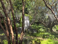 -Chom Cafe and Restaurant