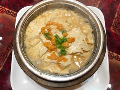 石锅海胆豆腐-浑河北岸小酒馆(银河丽湾店)