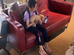 -百好乐宠物友好餐厅(朝外大街店)