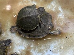 -万达广场(南京江宁店)