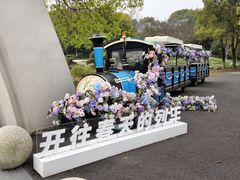 -上海鲜花港