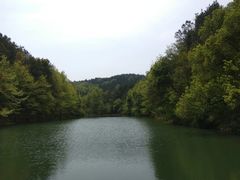 -青龙山国家森林公园