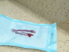 -伟伟宠物医院·CT影像中心·瑞派犬猫综合性门诊(汉口总院)