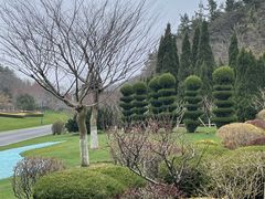 -棒棰岛宾馆景区