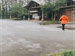 -乌村