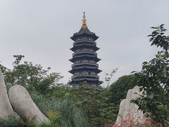 -重庆园博园