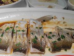 -来相会饺子·新辽菜(甘家口店)