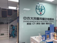 -中农大我爱我爱动物医院·核磁CT·猫病·24小时夜诊中心(石佛营店)