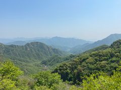 -大岭沟猕猴桃谷风景区