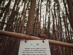 -天津东丽湖风景区