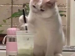 -麦当劳(人民南路店)