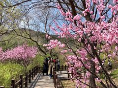 -国家植物园南园