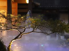 -杭州植物园