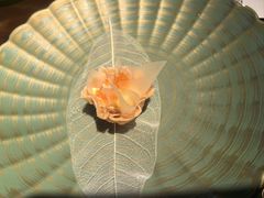 -松鹤精致料理(五一中路店)