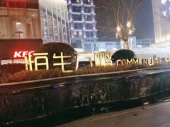 -恒生万鹂广场(唐镇店)