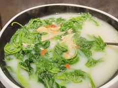 鸽汤桑叶-羽鸽集·乳鸽专门店·地道顺德菜(岭南站店)