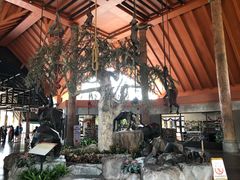 -清迈夜间动物园