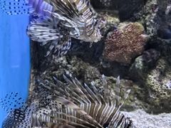 -大连老虎滩海洋公园