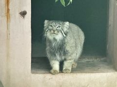 -青藏高原野生动物园
