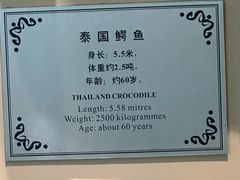 -麒麟中餐厅·经典粤菜·地道菜式老字号(广州长隆酒店)