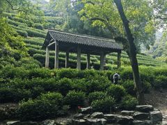 -十里琅珰
