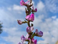 -上海日海酒店-停车场