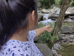 -少华山国家森林公园