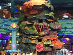 -青岛嘉年华主题乐园