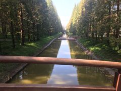 -黄海国家森林公园